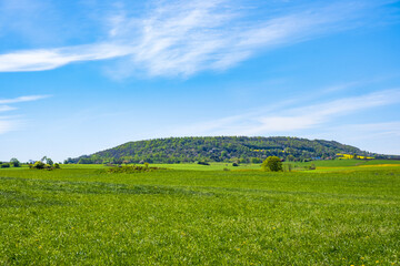 Landscape view from a meadow against a hill in summer