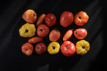 Organic tomatoes on the table in the rays of the sun