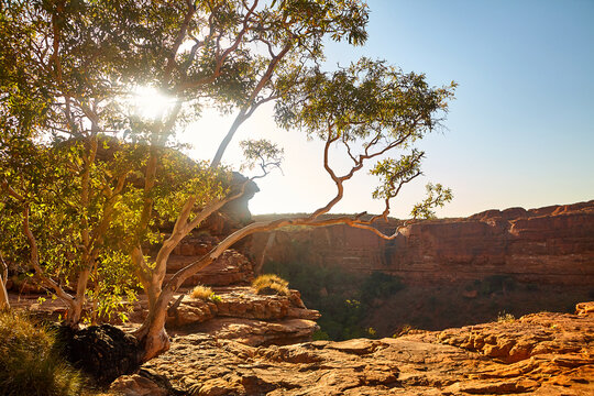 Australien, Outback, Landschaft.