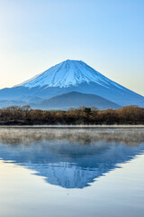 Fototapeta premium 他手合浜から見た早朝の富士山と精進湖 山梨県富士河口湖町 Mt. Fuji and Lake Shojin in the early morning seen from Tategohama. Yamanashi-ken Fujikawaguchiko town.
