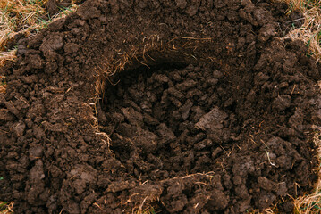 Round ground hole in chernozem made for planting tree under outdoors on a sunny day.