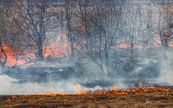 Fertile field on fire. The theme of war or man-made disaster
