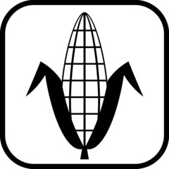 Ear of corn. Corncob vector icon