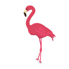 Pink flat flamingo isolated on white background