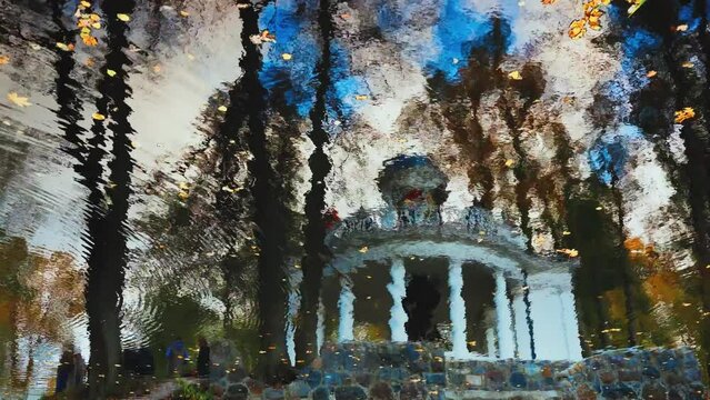 Yellow autumn leaves in the pond float in the wind. Frequent small waves in rapid movement on the surface. Bright colors in reflection. Autumn on a sunny day in Latvia. Kemeri National Park.