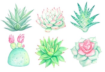 Set of watercolor succulents elements for invitations, greeting cards.
