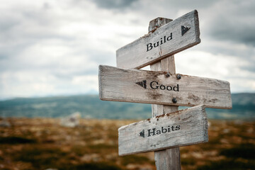 build good habits text quote written in wooden signpost outdoors in nature. Moody theme feeling. - 497487855