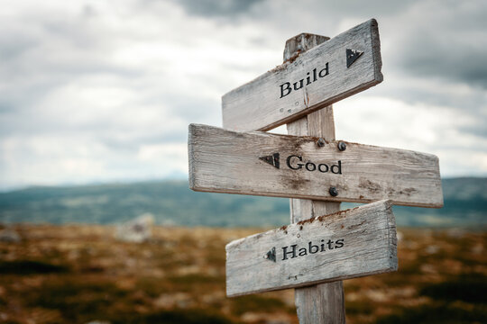 build good habits text quote written in wooden signpost outdoors in nature. Moody theme feeling.