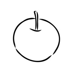 Apple fruit vector illustration. Engraved organic food hand drawn sketch engraving illustration. Black white apple isolated on white background.