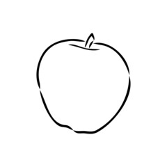 Apple fruit vector illustration. Engraved organic food hand drawn sketch engraving illustration. Black white apple isolated on white background.