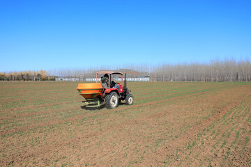 Obraz premium farmers fertilize wheat with machinery on a farm, North China