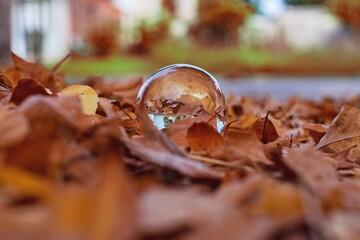 De éste lado del globo es otoño