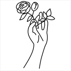 A female hand holding a rose. A hand with flower in simple sketchy style. 