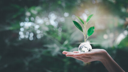 Hands holding crystal earth globe and growing tree. Save the world concept. Environment, save clean planet, ecology concept. Earth Day banner with green bokeh background and copy space for text.