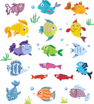 Fish, marine life pattern, set, color, various poses and situations, drawing, vector, images, cartoon