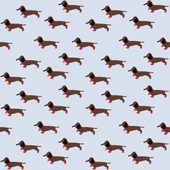 Seamless pattern with dachshund in red scarf and red socks. Illustration with cute dog on blue background. Brown animals print for veterinary, books, toys, wallpapers, fabric, kids design.