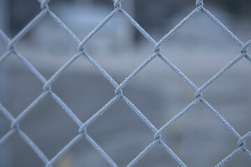 Fototapeta premium textura de malla congelada 