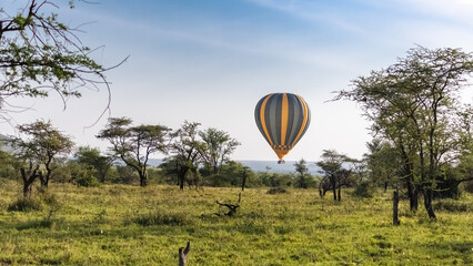 Air balloon above the savannah in Serengeti National Park, Tanzania