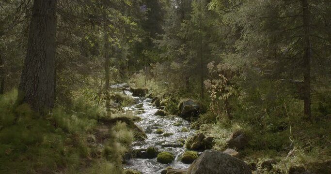 Varkaankuru ravine with water flowing in stream in autum at Pallas-Yll&auml;stunturi National Park, Kolari, Lapland, Finland. 