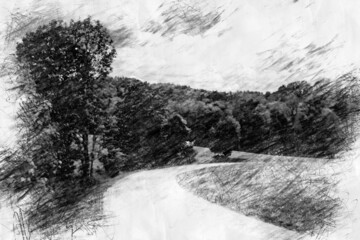 view of road and forest in pencil drawing style