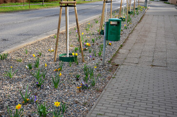 newly planted trees and flower beds onstreet. green plastic circle water tank. facilitates the...