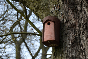 birdhouse for horse chestnuts made of concrete casting with a number on the bottom for ornithologists. a smaller flight opening means that small birds live here. attached to the trunk