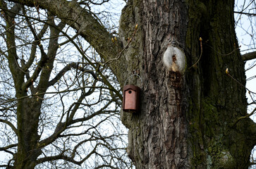 birdhouse for horse chestnuts made of concrete casting with a number on the bottom for...