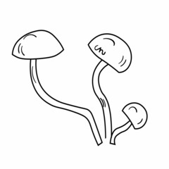 Doodle mushroom set. Cute bio line art collection. Black vector on white background.