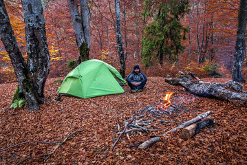 fire, tourist and tent in the forest