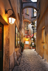 Old street in Vienna. Austria