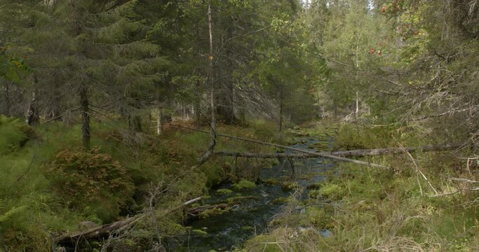 Varkaankuru ravine with water flowing in stream in autum at Pallas-Yll&auml;stunturi National Park, Kolari, Lapland, Finland. 