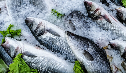 Close up shot of Sea bass fishes decorated by ice in a retail market.