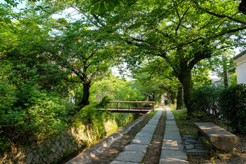 Obraz premium 京都市左京区 新緑の哲学の道