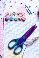 Scrapbooking set. Handmade. Labor lesson. Gift preparation. hole puncher