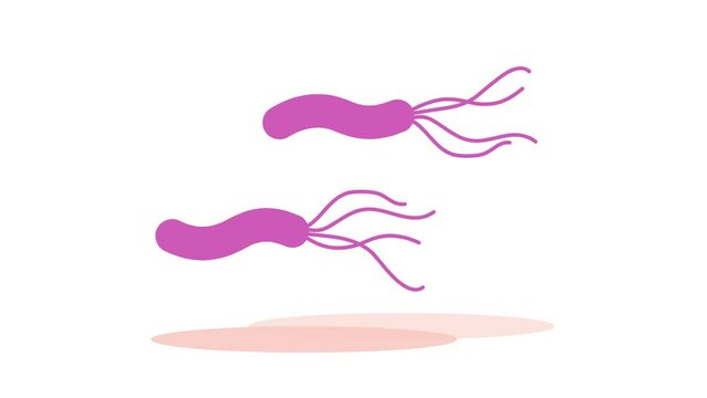 浮遊するピロリ菌　イメージアニメーション動画（ループ可）