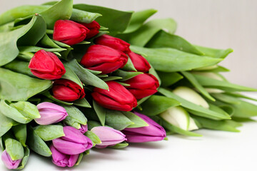 Nahaufnahme eines Strauß mit wunderschönen Tulpen zum Valentinstag.

