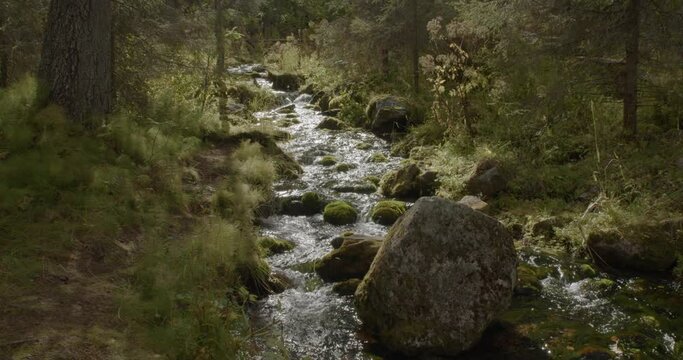 Varkaankuru ravine with water flowing in stream in autum at Pallas-Yll&auml;stunturi National Park, Kolari, Lapland, Finland. 
