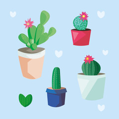 Cute Cacti
