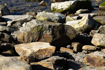 Naklejka na ściany i meble rocks on the beach