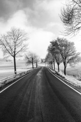 frosty winter road