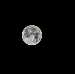 Fototapeta premium moon