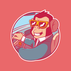 Cool Monkey driving a car vector illustration. Funny, brand, animal design concept.