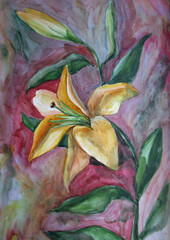 Yellow lily, big watercolor flower 