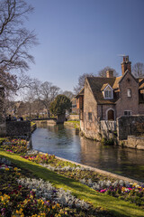 Naklejka premium River Stour, Canterbury, Kent, England