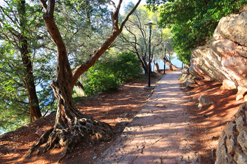 Road in Park Milocer in a beautiful summer day in Sveti Stefan, Montenegro