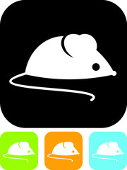 Rodent. Cute baby mouse vector illustration 