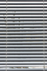 The texture of the blinds