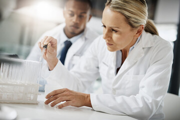 Obraz premium Lets test these samples. Cropped shot of two scientists testing a sample while doing research in their lab.