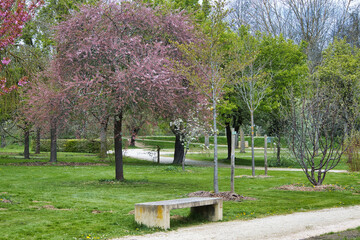 Magnificent park planted with fruit trees, at the beginning of spring
