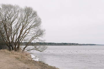 The incredible view of river or lake in spring. Blue water surface with small waves under blue sky